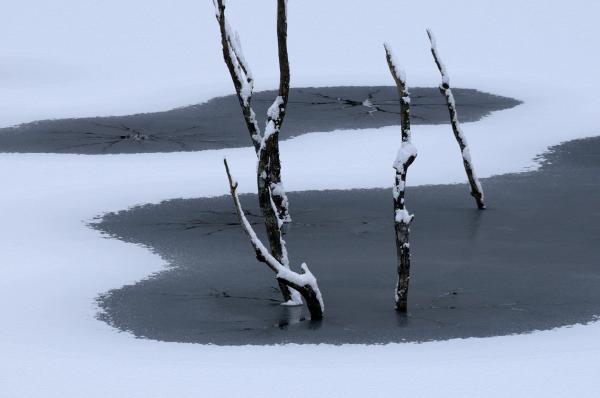 『花貫ダム積雪2』の画像