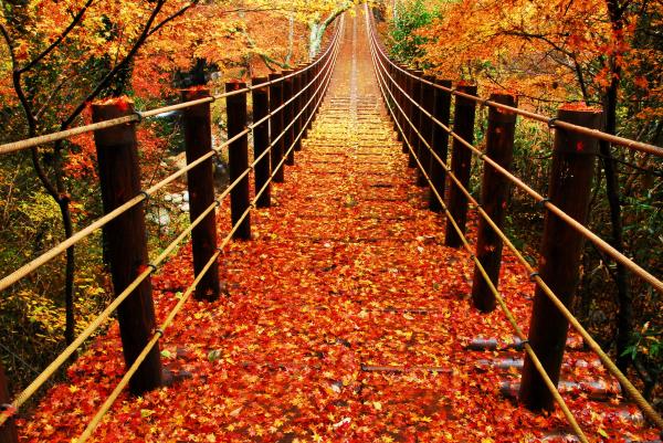 『花貫渓谷　紅葉４』の画像