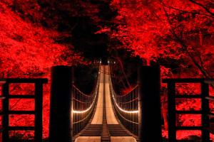『入選「闇夜に架かる紅の吊り橋」』の画像
