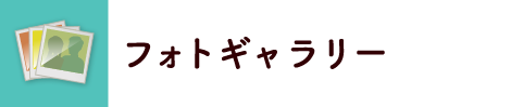 お土産・グルメ