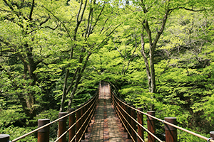 桜も紅葉も楽しめる絶景スポット