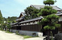 6. お屋敷通り