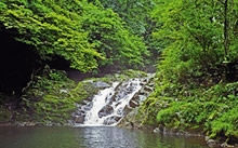 4. 名馬里ケ淵