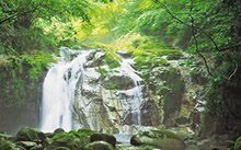 『5. 不動滝・乙女滝』の画像