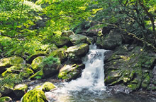 3. 滝山渓谷