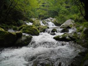 春の花貫渓谷その1 小