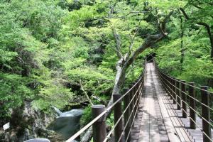 花貫渓谷２【春・小】
