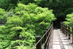 花貫渓谷3【春・小】