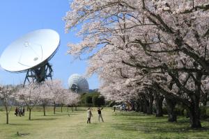 さくら宇宙公園２【春・小】