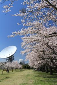さくら宇宙公園３【春・小】