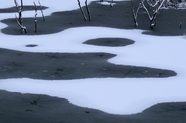 花貫ダム積雪３