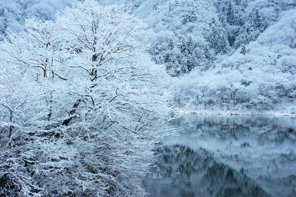 花貫ダム積雪４