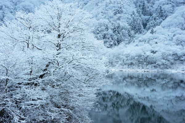 『花貫ダム積雪４』の画像