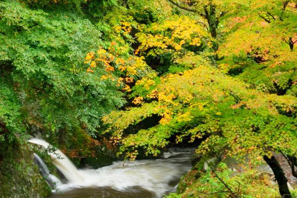 『花貫渓谷　紅葉１』の画像