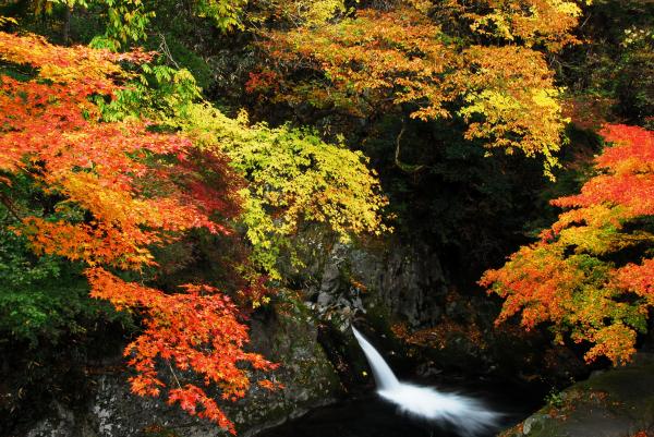 『花貫渓谷　紅葉2』の画像