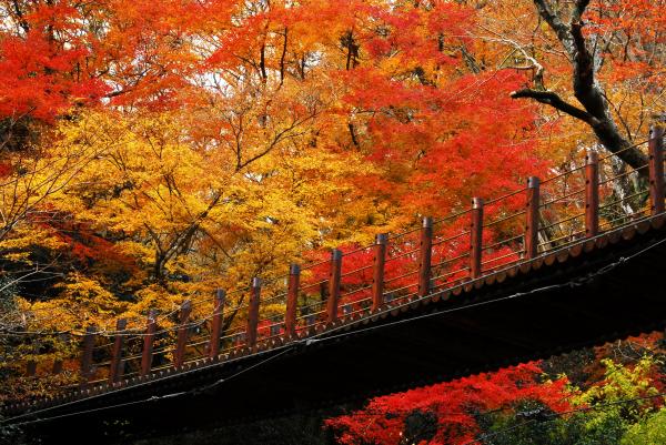 花貫渓谷　紅葉３