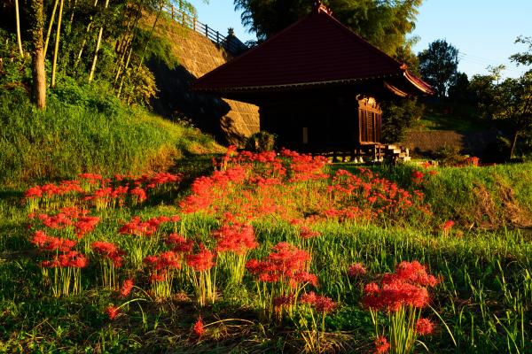 長宏寺1