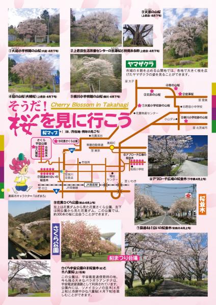 第22回高萩桜まつり裏